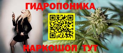 СК Нягань
