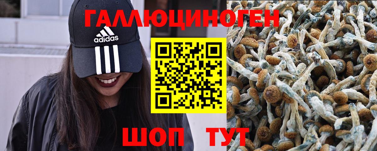 Псилоцибиновые грибы ЛСД  Вход с VPN  Тамбов 