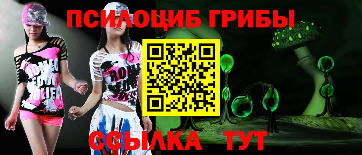 Псилоцибиновые грибы ЛСД Тамбов